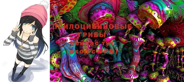 прущие грибы Лабытнанги