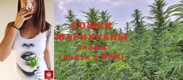 шишки Липки