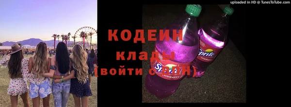 прущие грибы Лабытнанги