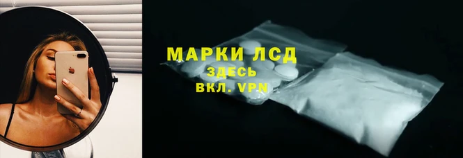 прущие грибы Лабытнанги