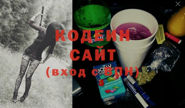 прущие грибы Лабытнанги