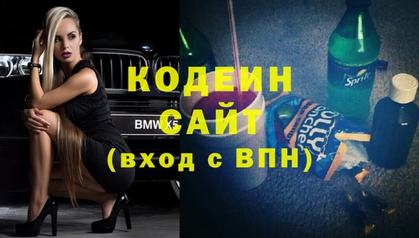 прущие грибы Лабытнанги