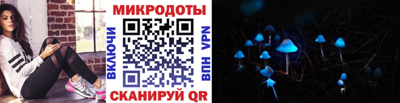 Псилоцибиновые грибы прущие грибы  блэк спрут ССЫЛКА  Севск  купить наркоту 